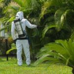 8a111504e64d442b9c810736be94cb9b